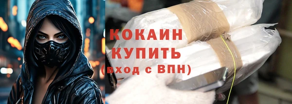 индика Абинск
