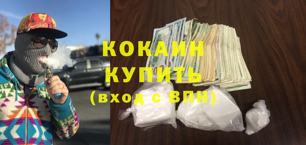 индика Абинск