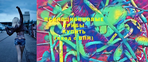 прущие крисы Абаза